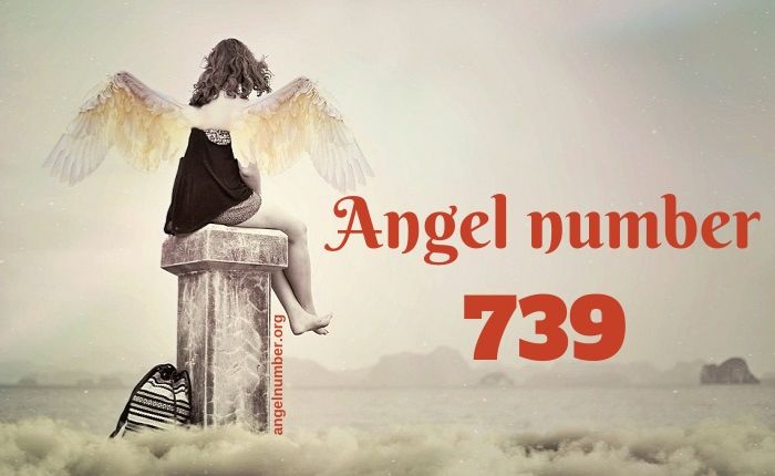 739 angel number