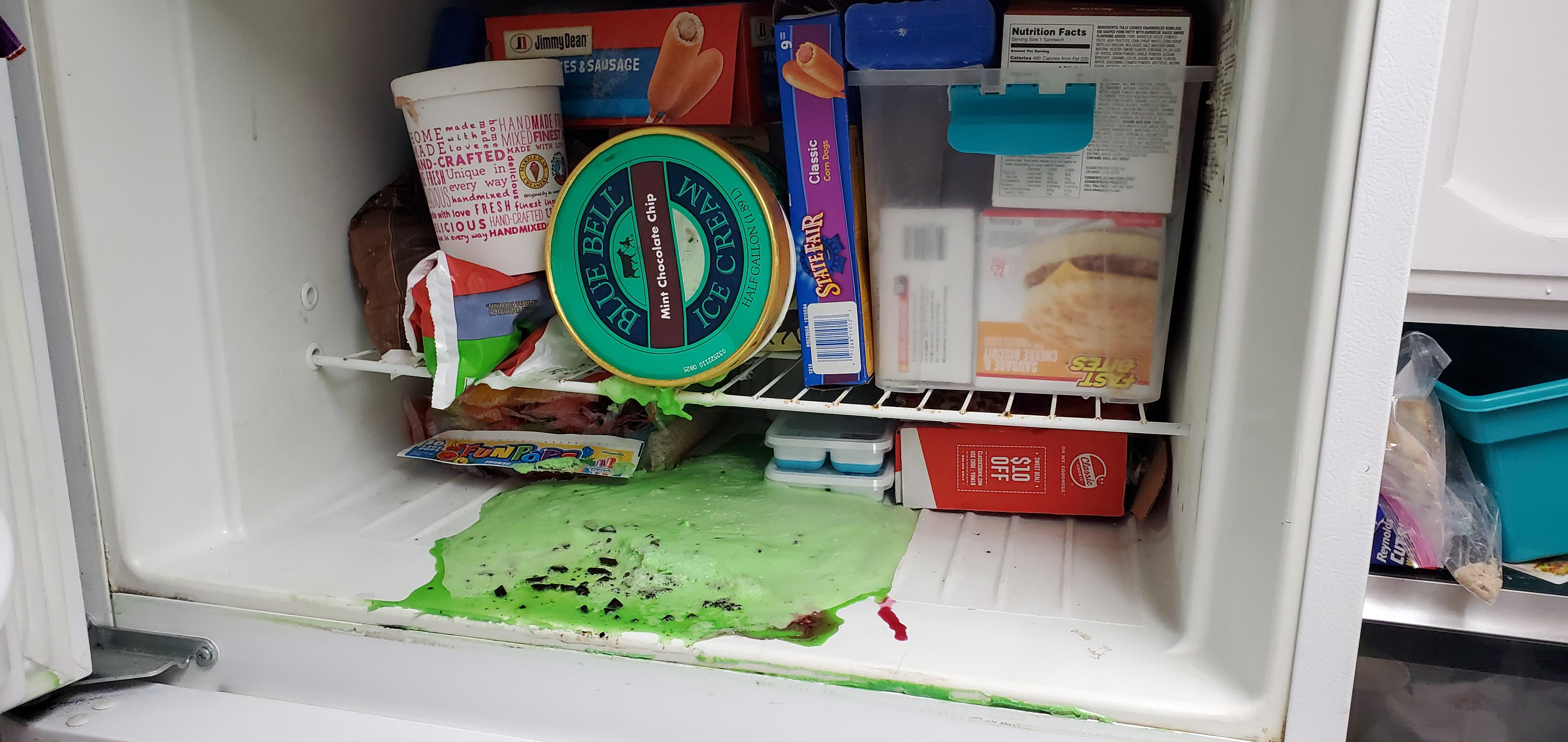 freezer left open overnight