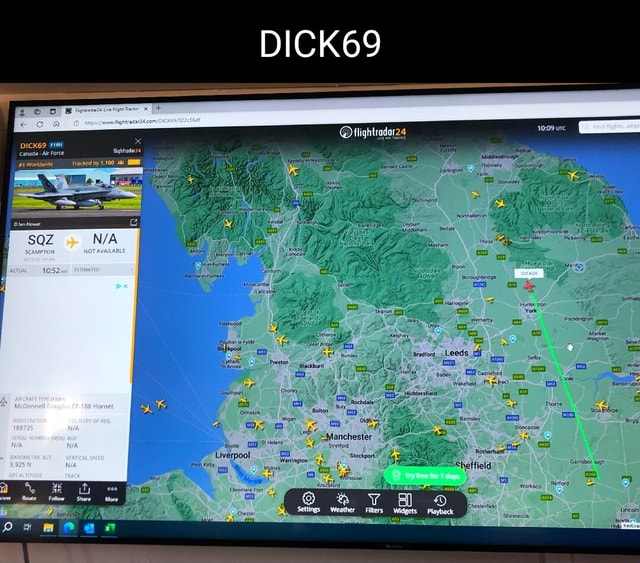 dick69