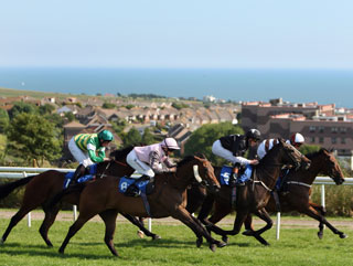 brighton placepot today