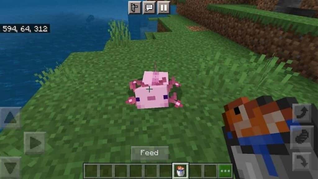 what does axolotl eat minecraft