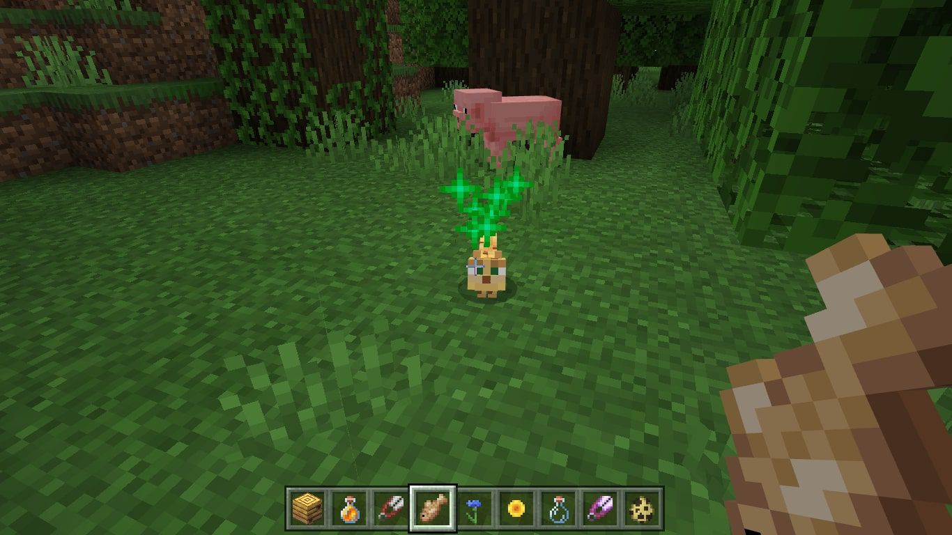 tame an ocelot in minecraft