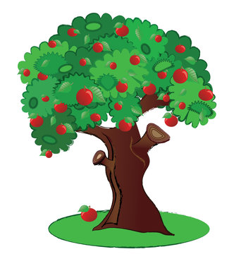 tree with fruits clip art