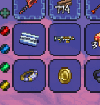 lucky coin terraria