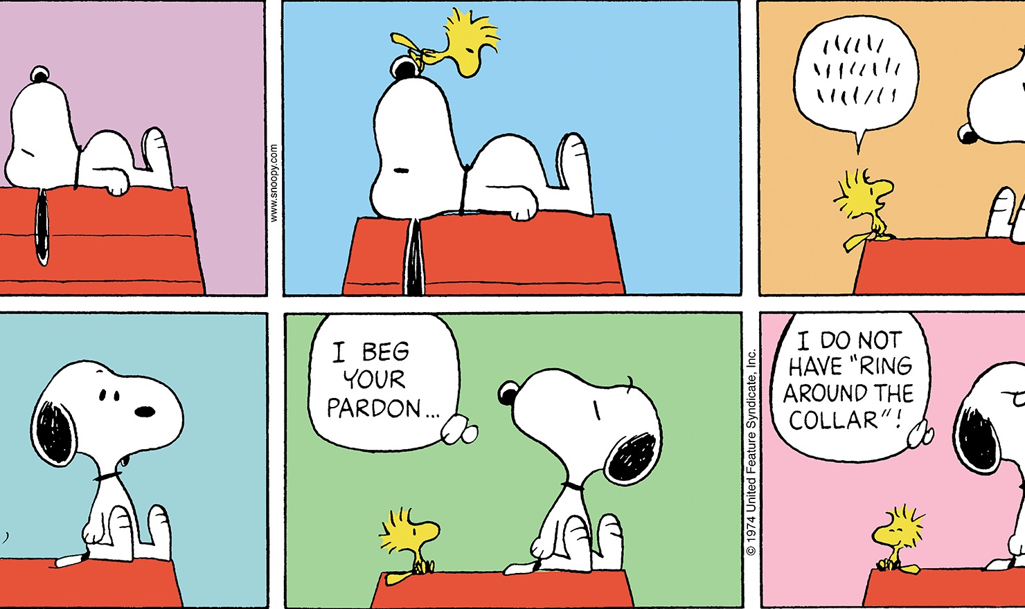 snoopy comic strip