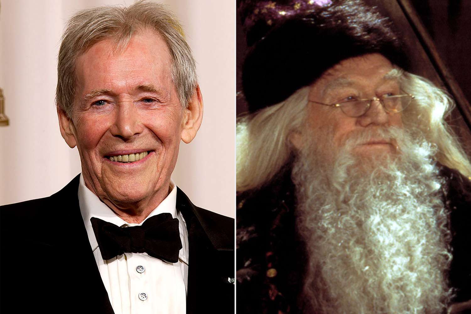 who played albus dumbledore