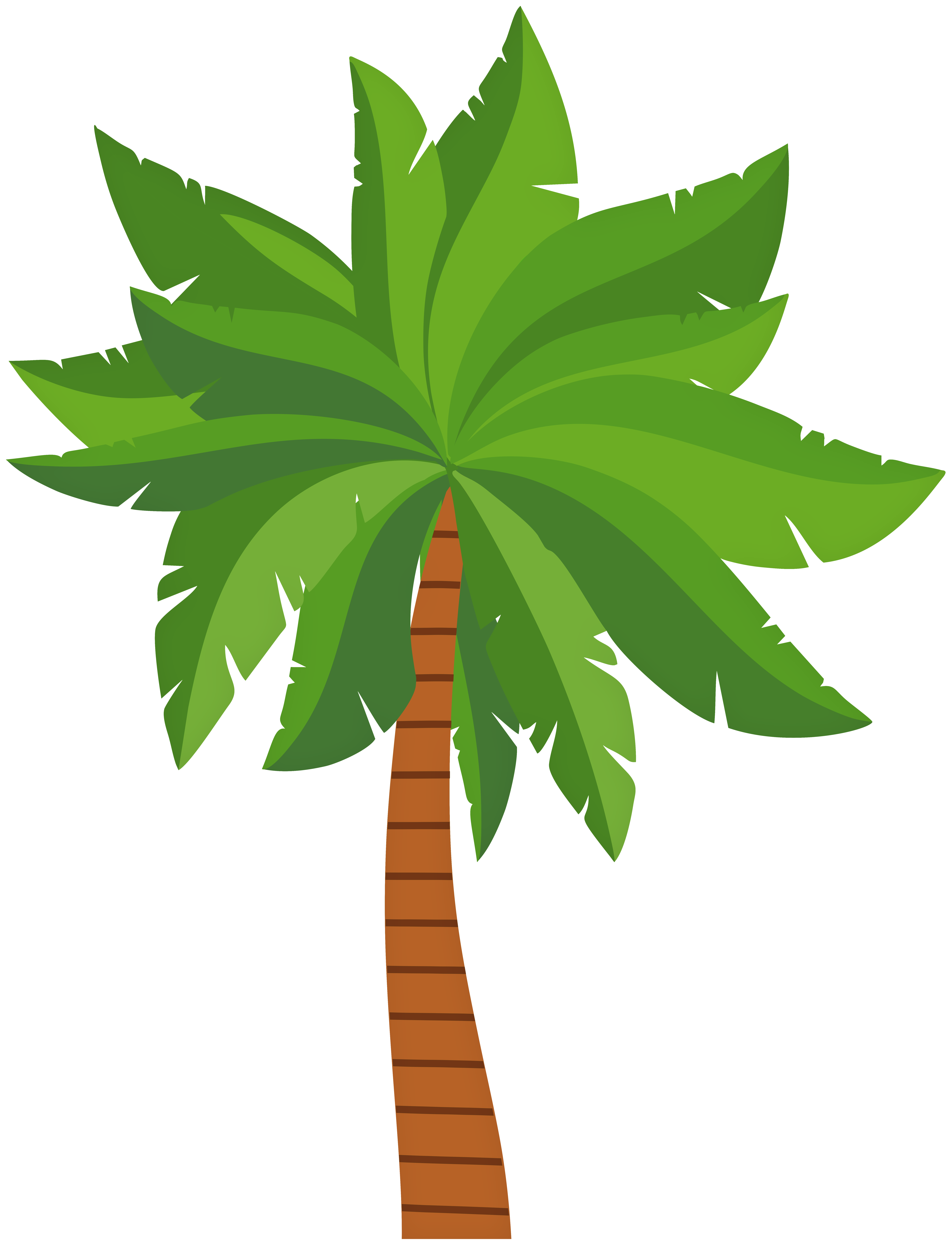 palm tree png clipart