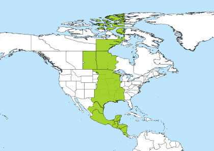 est to cst time zone converter