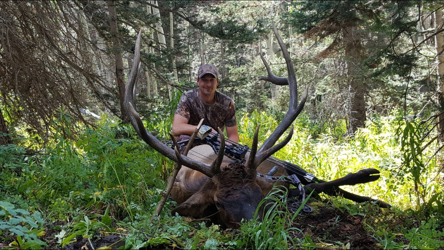 unit 70 colorado elk