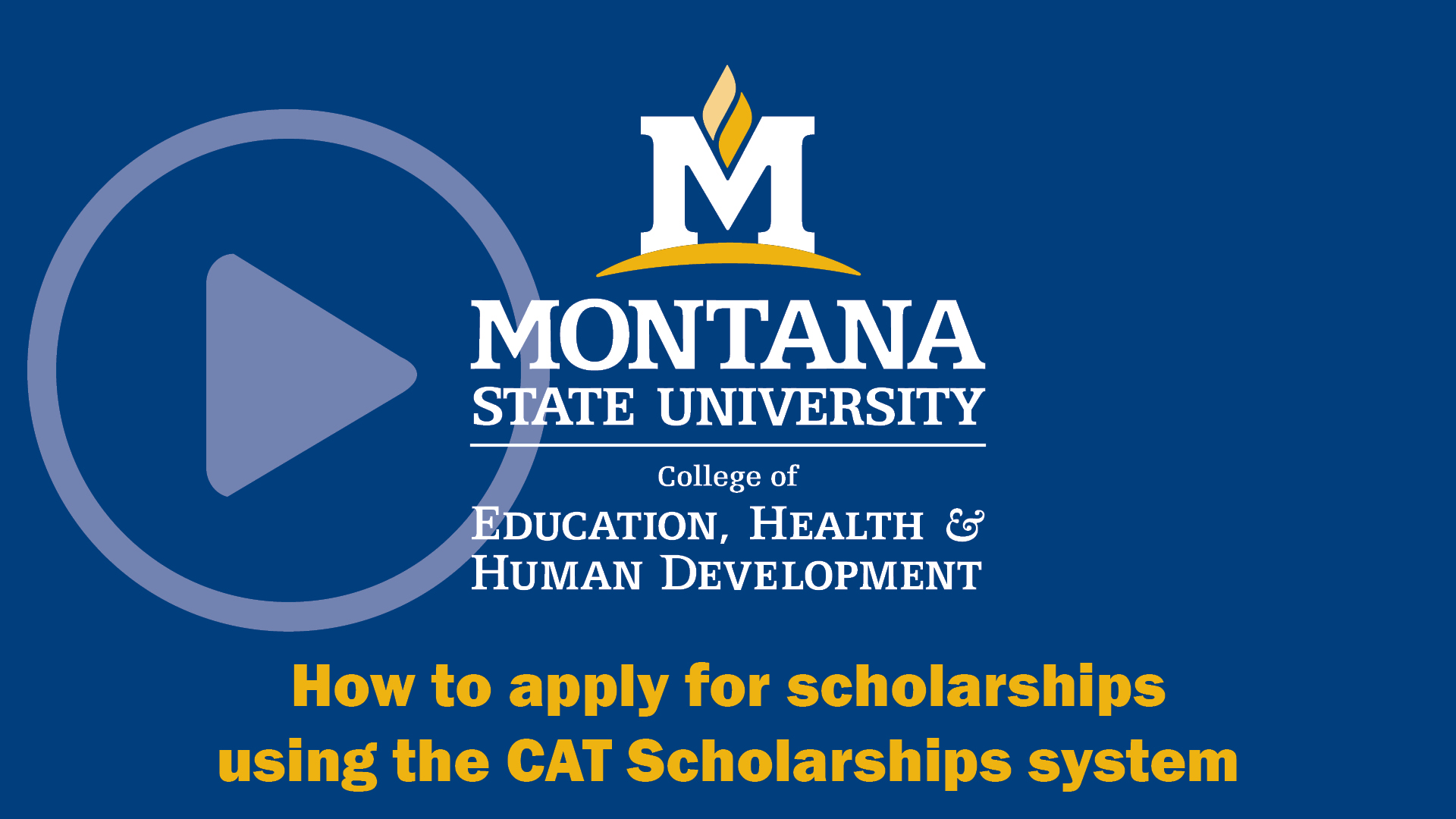 montana state university cat scholarships