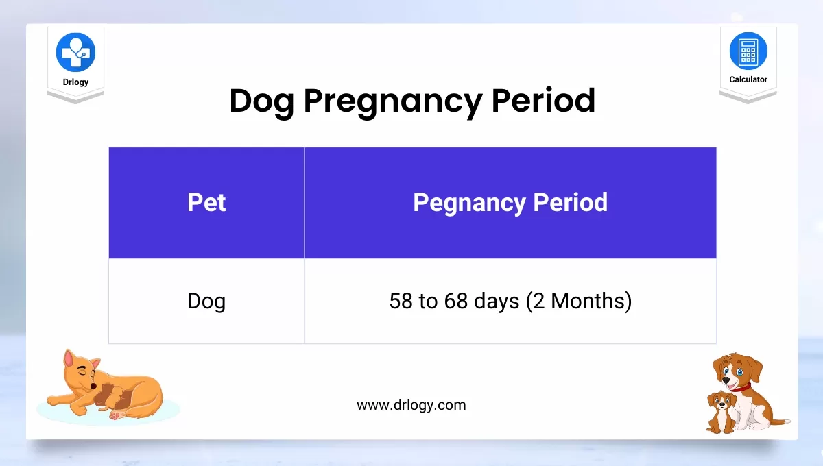 canine gestation calculator