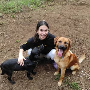 cuidadores de perros a coruña