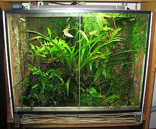 terrarium meaning in hindi