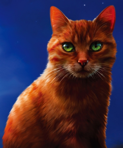 firestar from warrior cats