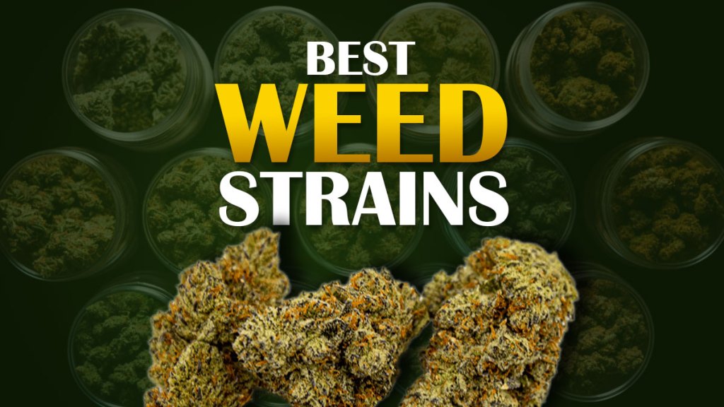 best strains for seniors