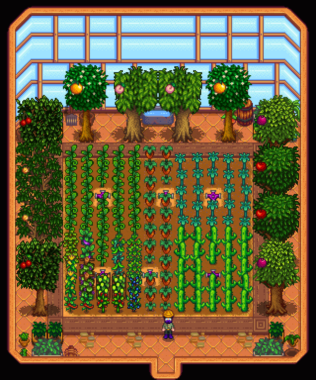 greenhouse layout stardew