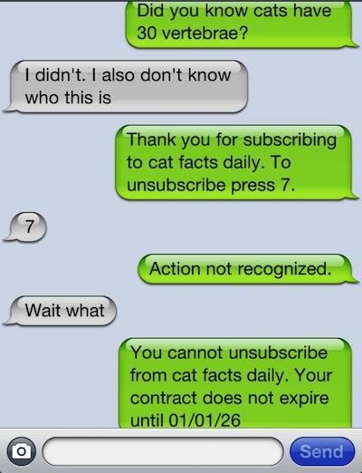 spam text messages prank