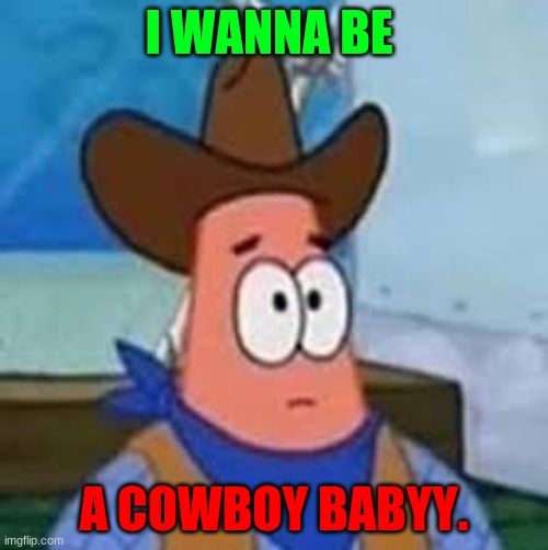 wannabe cowboy meme