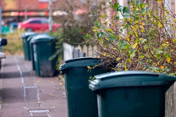 faversham bin collection