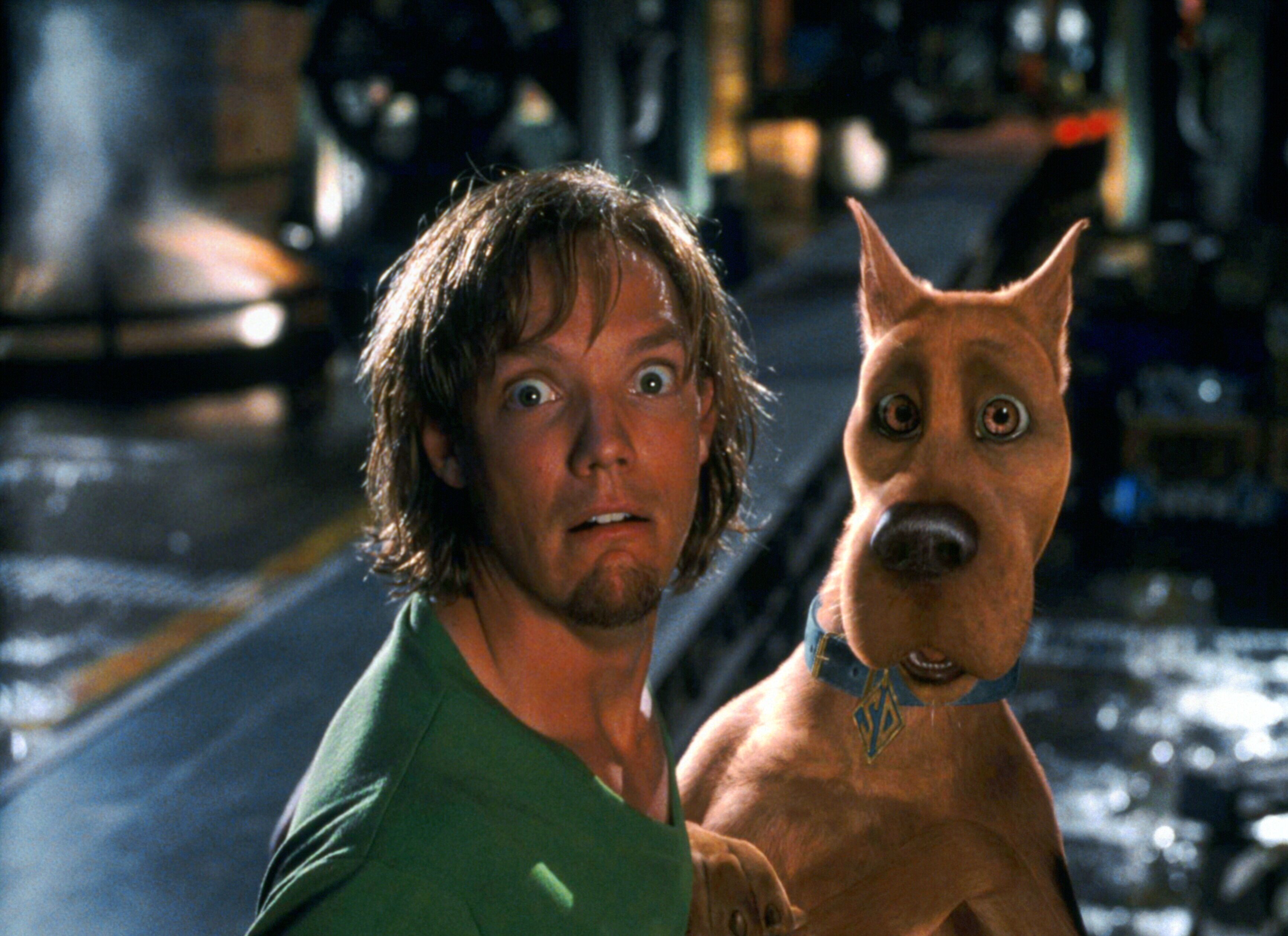 shaggy scooby doo