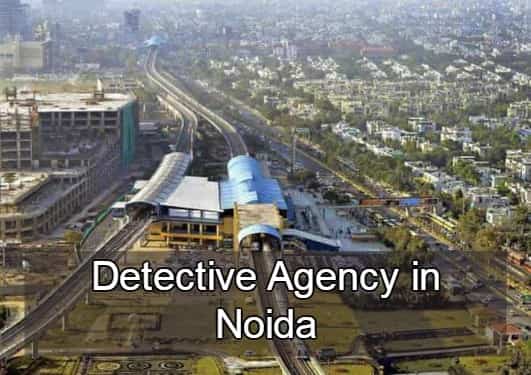 detective agency in delhi price