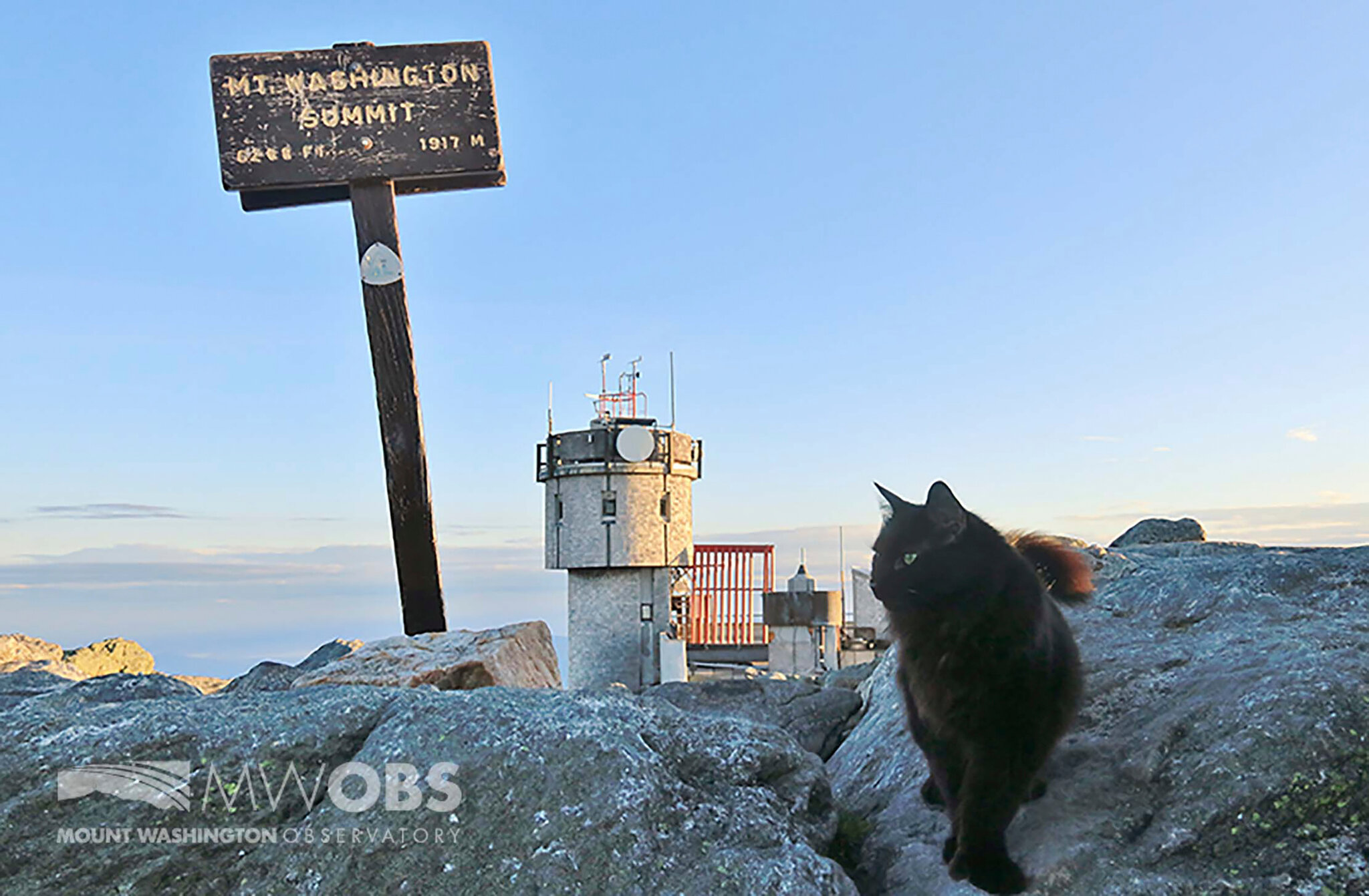 mount washington observatory