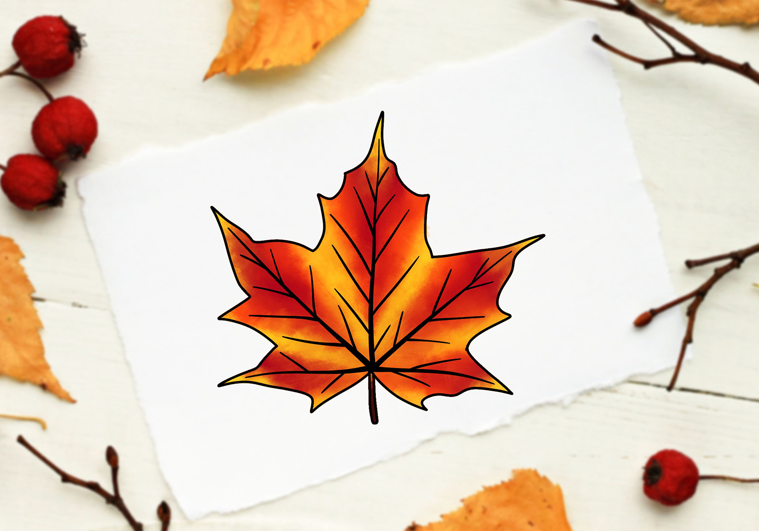 maple leaf drawing