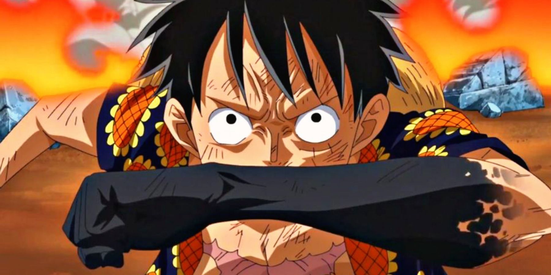 haki one piece meaning