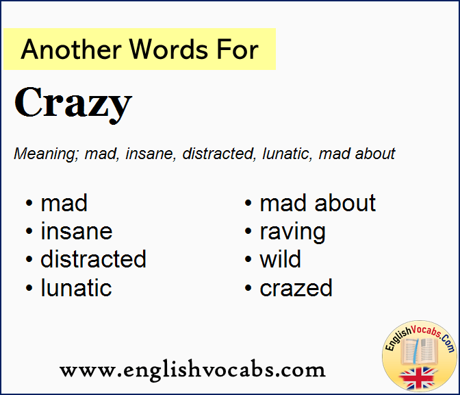 another word for crazy