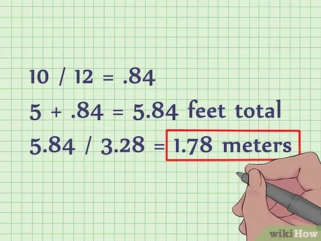 what is 5 ft 5 in meters