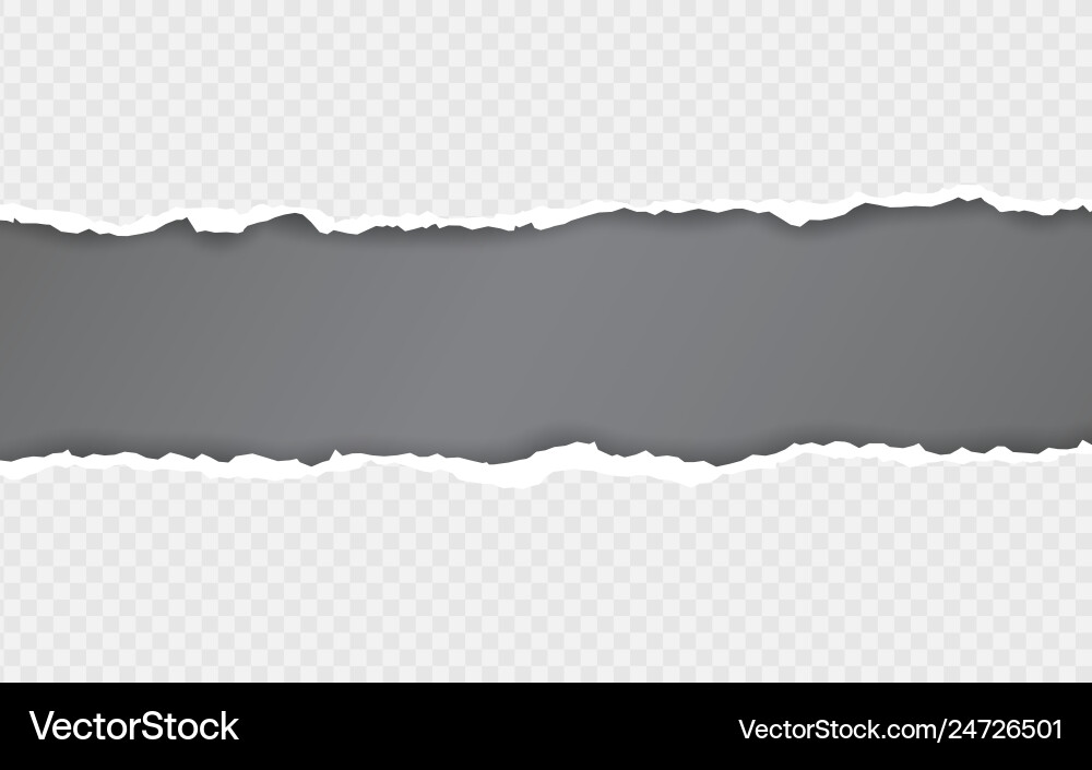 torn edge vector