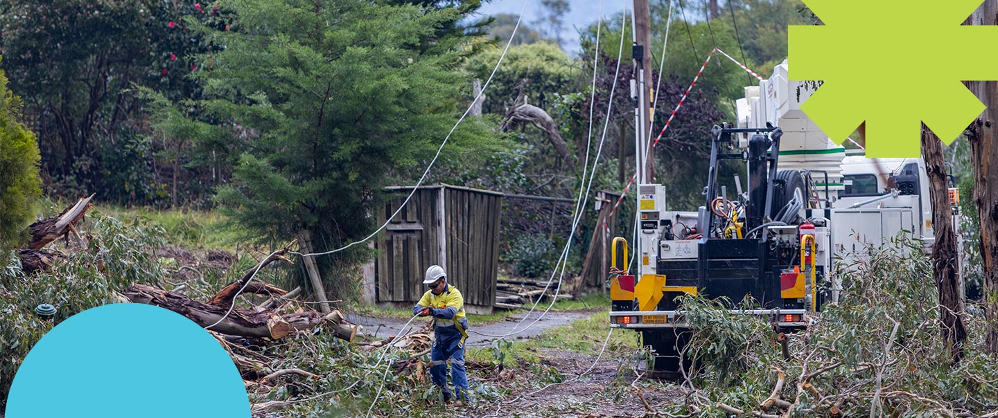 power outage diamond creek