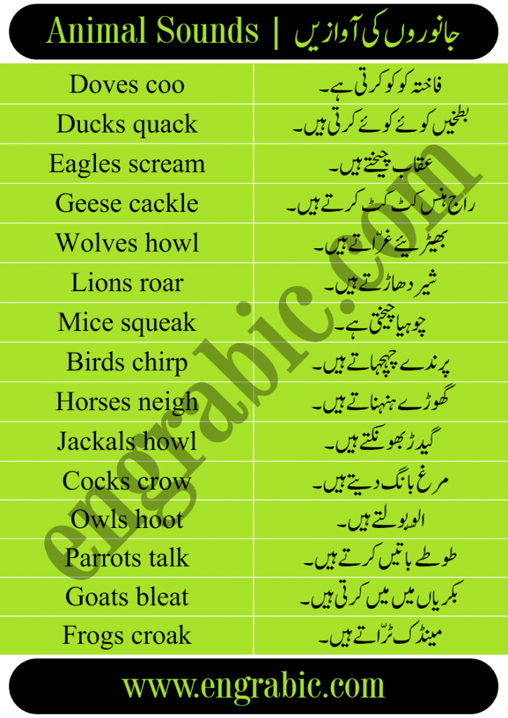 grunt meaning in urdu