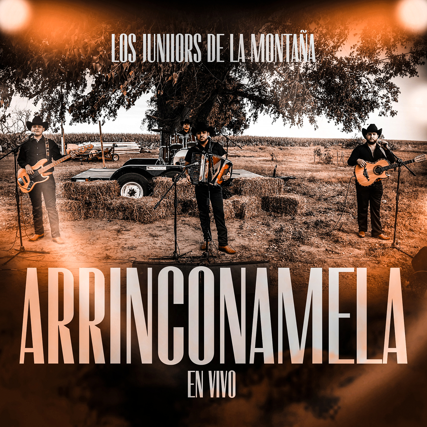 arrinconamela letra