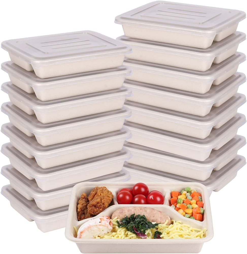 disposable lunch plates