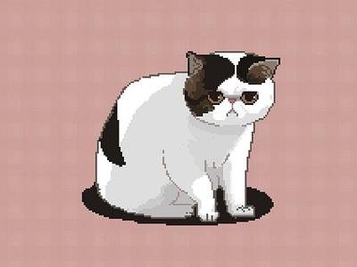 pixelart cat