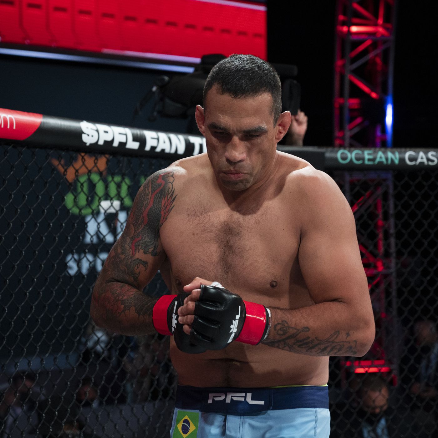 fabricio werdum