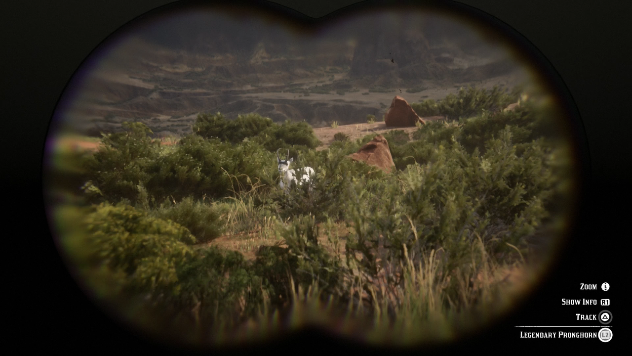 legendary pronghorn location rdr2