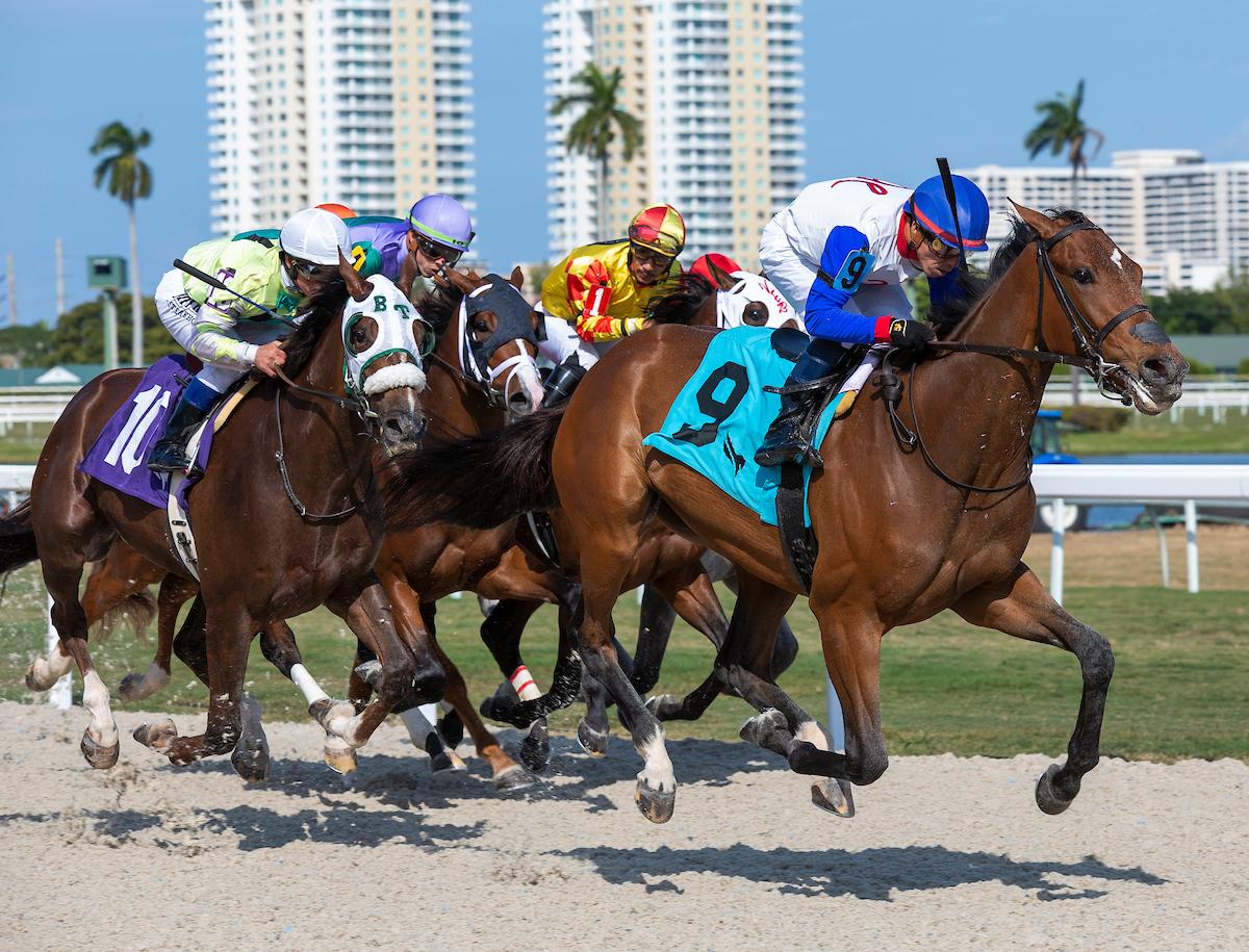 gulfstream park entries