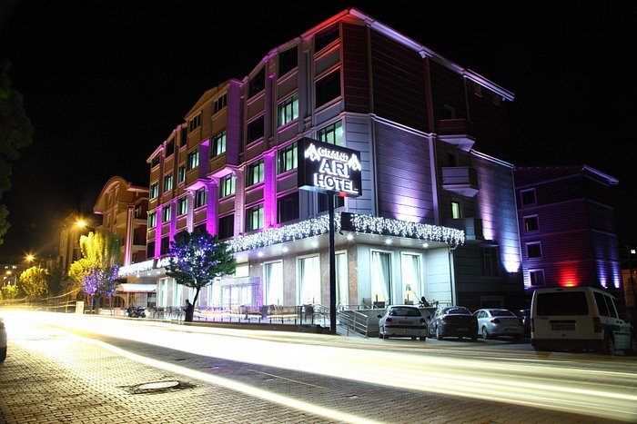 afyon arı otel