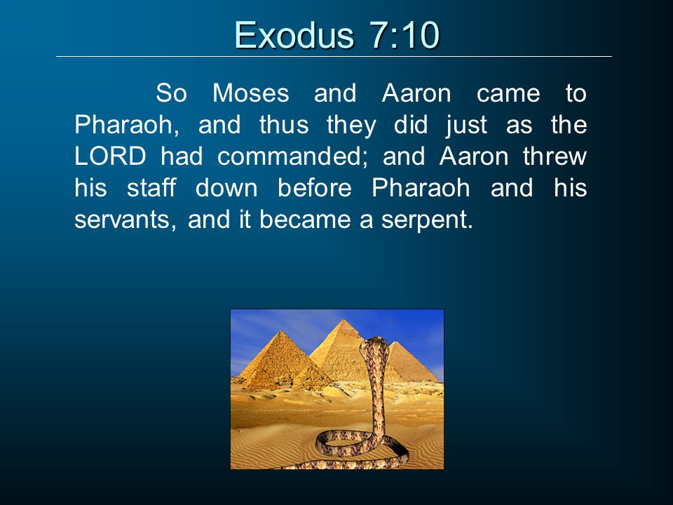 exodus 7 esv