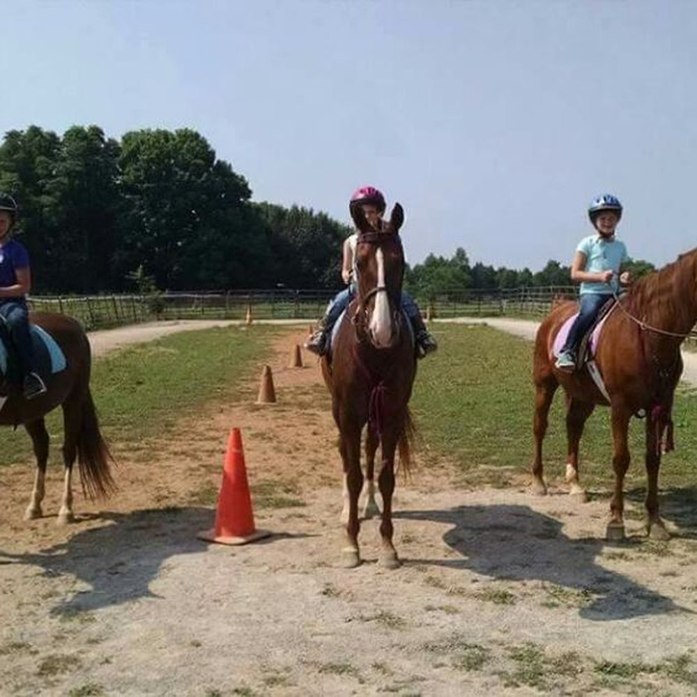 horseback riding murfreesboro tn