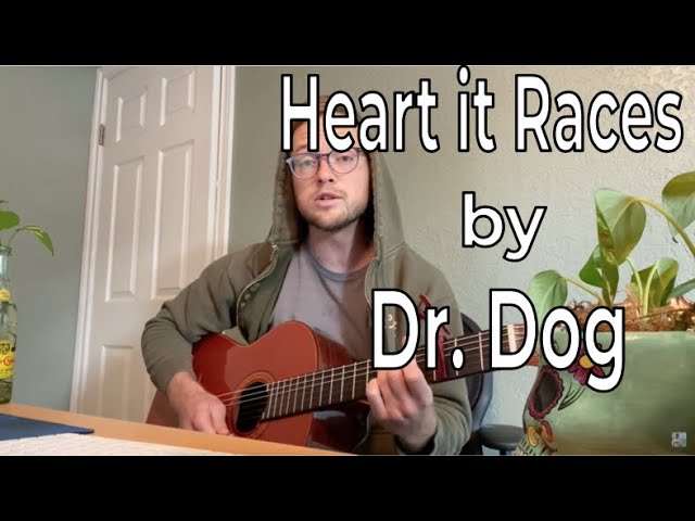 dr dog chords