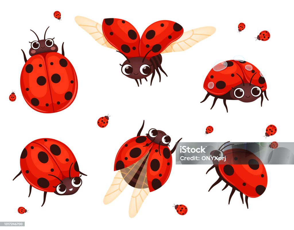 cartoon ladybug flying