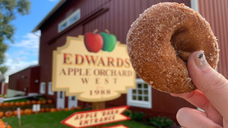 edwards apple orchard donut price