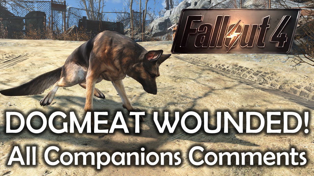 how to heal dogmeat fallout 4