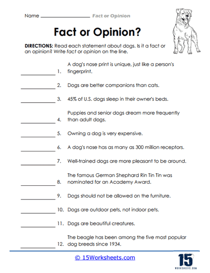 fact and opinion reading passages 6th grade