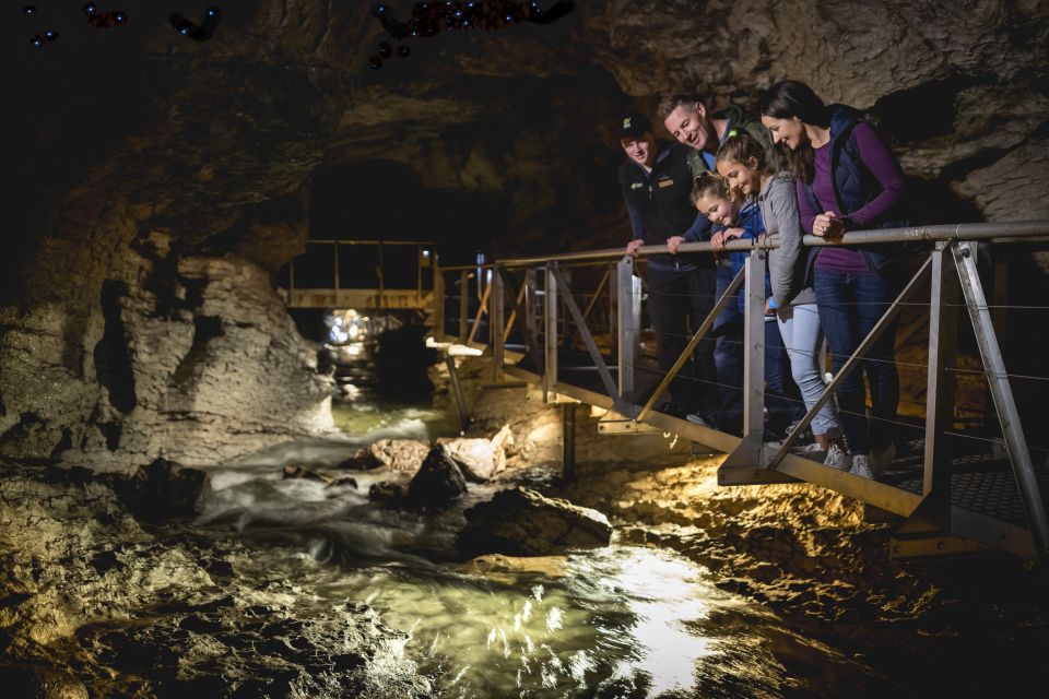 te anau glowworm caves tickets