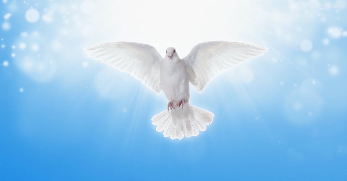holy spirit dove flying