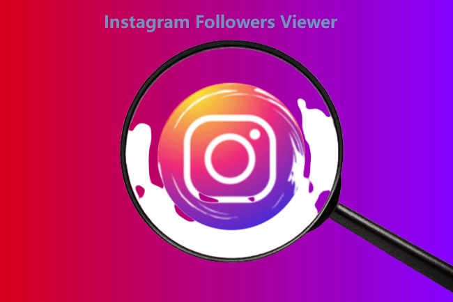 follower viewer instagram